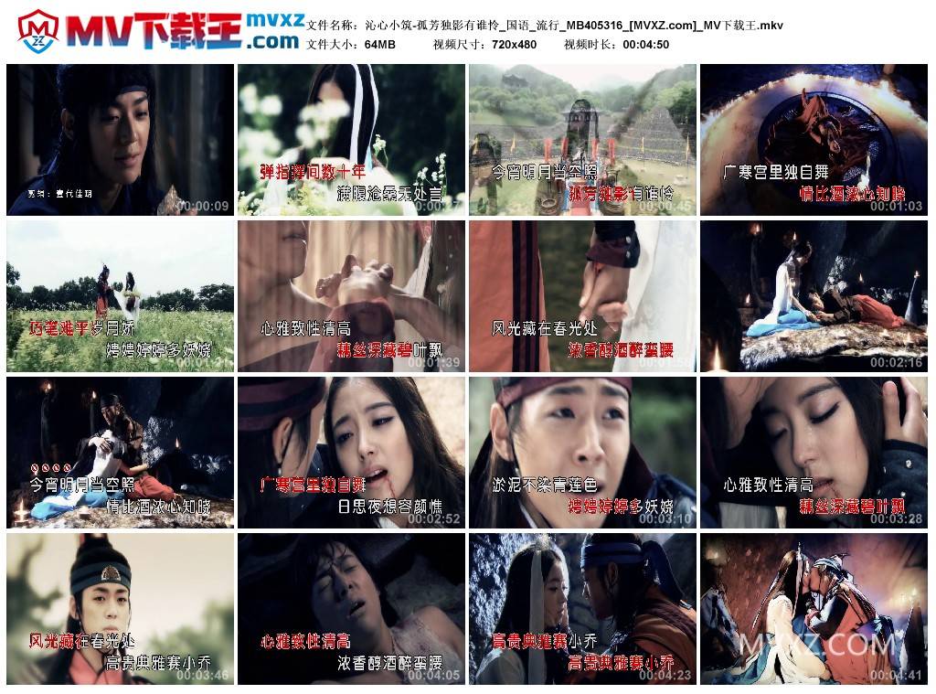 沁心小筑-孤芳独影有谁怜_国语_流行_MB405316